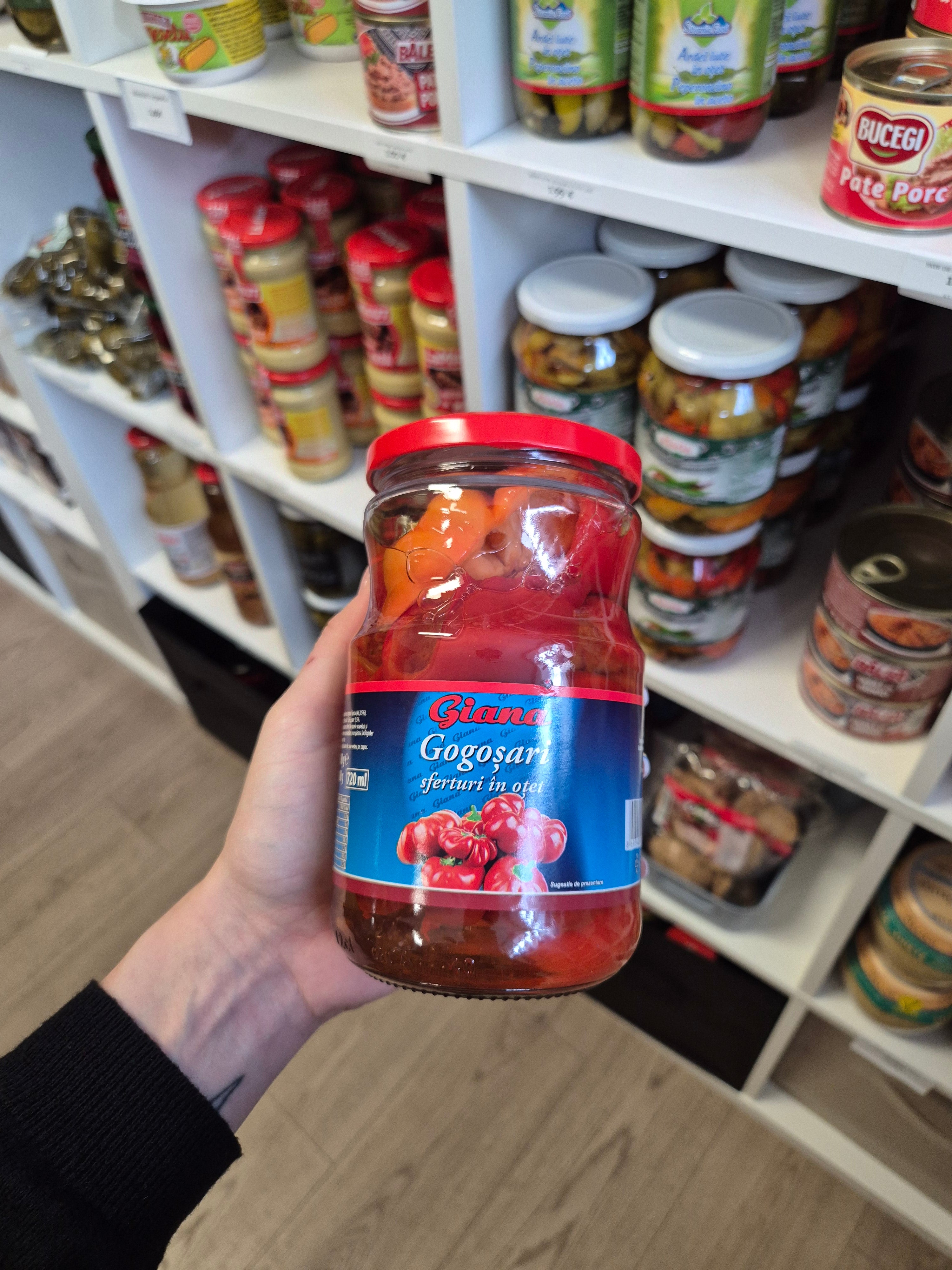 GOGOSARI GIANA 720ML
